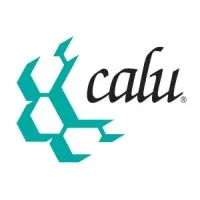 CALU - The Conference for Advanced Life Underwriting