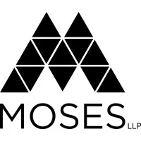 Moses LLP Chartered Professional Accountants