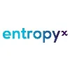 Entropy X Entropy X