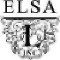 ELSA L, Inc ELSA L, Inc