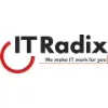 IT Radix LLC IT Radix LLC