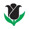 Black Tulip Flowers LLC Black Tulip Flowers LLC