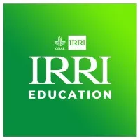 IRRI Education