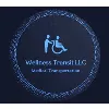 WELLNESS TRANSIT LLC WELLNESS TRANSIT LLC