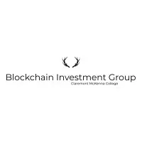 Blockchain Investment Group (BIG)