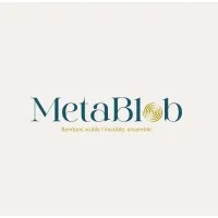 MetaBlob MetaBlob