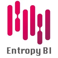 EntropyBI Pte Ltd