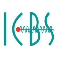 ICBS Inc, - Intercommercial Business Systems