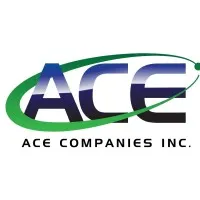 ACE Companies Inc.