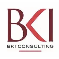 BKI Consulting