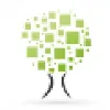 ArkssTech - Dedicated IT Team