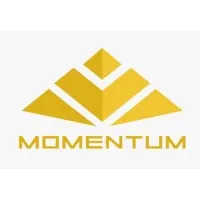 Momentum Tech & Business Consultancy 