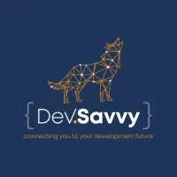 DevSavvy 