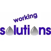 Working Solutions Chemicals