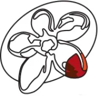 Australian Regenerative Medicine Institute - ARMI