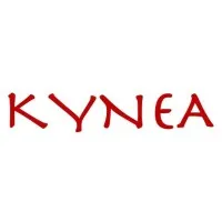 KYNEA SOLUTIONS LLP