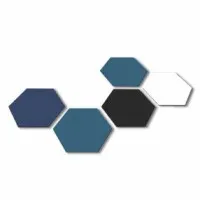 Boson Health