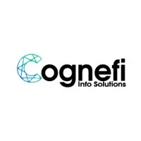 Cognefi Info Solutions