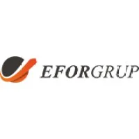 EFOR GRUP
