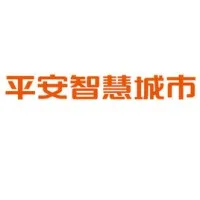 平安智慧城市 平安智慧城市