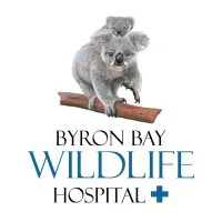Byron Bay Wildlife Hospital