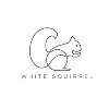 White Squirrel