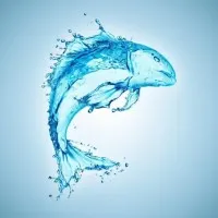Aquaculture Focus