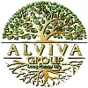 ALVIVA GROUP ALVIVA GROUP