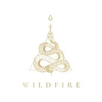 Wildfire Leadership 