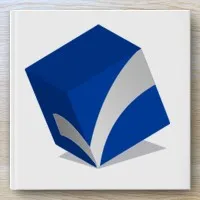 Auditing & Taxes