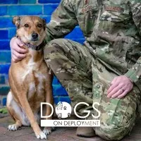 Dogs on Deployment Dogs on Deployment