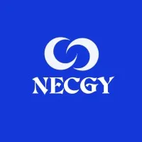 Necgy IT and Consulting