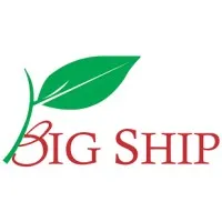 Big Ship Organization