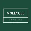 Molecule labs