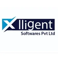 Xlligent Softwares Pvt Ltd