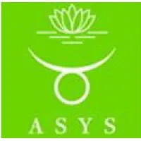 ASYS Automatic Systems GmbH & Co.KG