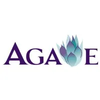 Agave Transportation Services, Inc.