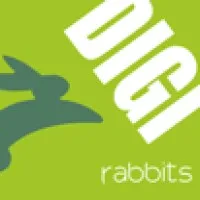 DIGIrabbits Consulting Pvt Ltd 