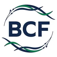 Blue Convergence Fund