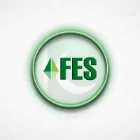 FES Consultants