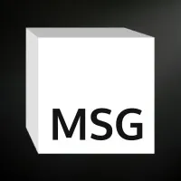 MSG Accountants, Consultants & Business Valuators