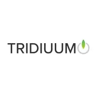 Tridiuum (now Lucet)