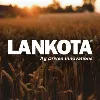 Lankota Lankota