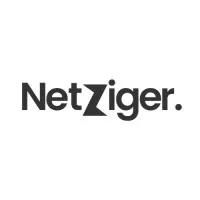 Netziger IT Services Private Limited