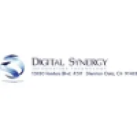 Digital Synergy Consulting Inc.