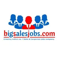 BIG SALES JOBS (Div - Big Ideas HR Consulting Pvt Ltd)