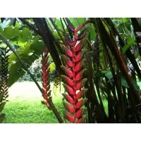 Pacific Technical Resources