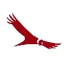 SOENAS Aviation Consulting SOENAS Aviation Consulting