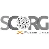 SCORG International Consulting Pvt. Ltd. SCORG International Consulting Pvt. Ltd.