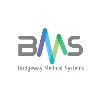 Bridgeway Medical Systems Bridgeway Medical Systems